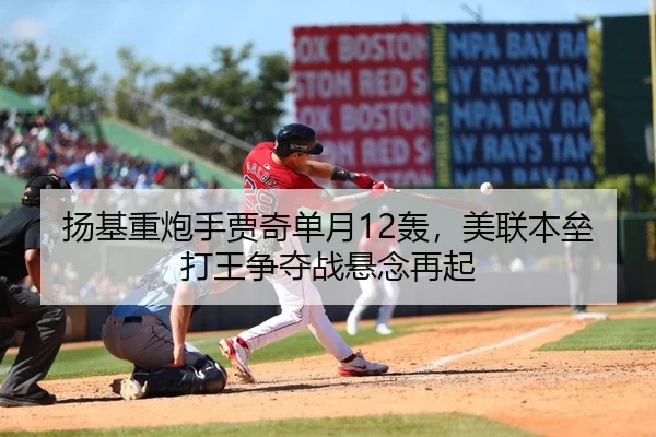 扬基重炮手贾奇单月12轰，美联本垒打王争夺战悬念再起